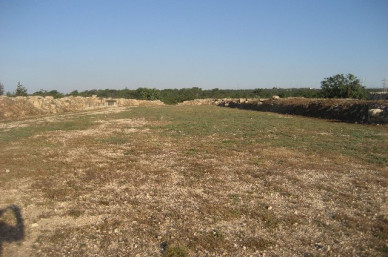 stadium